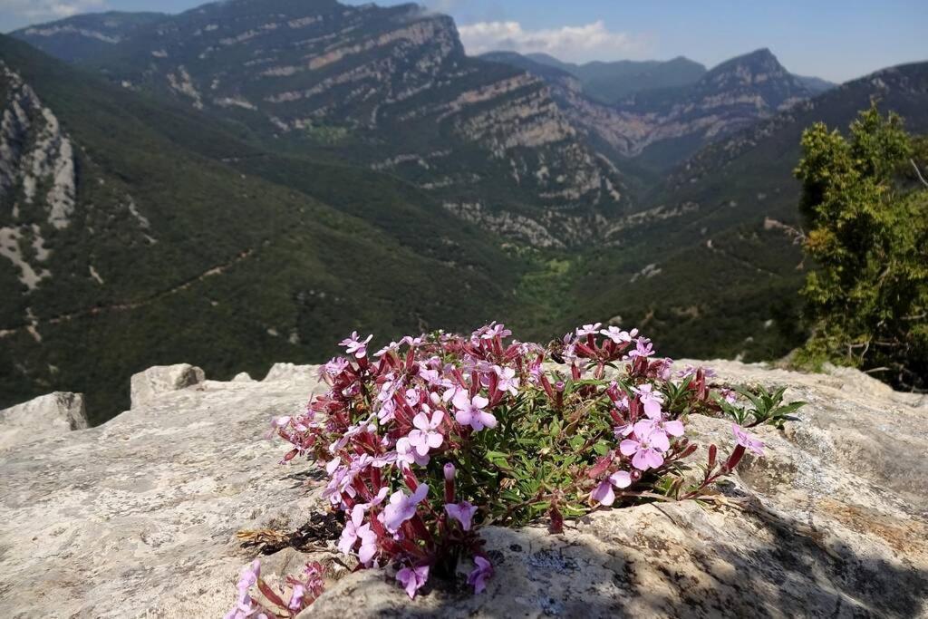 Pont De Valenti Mountain Retreat Apartman Girona Kültér fotó
