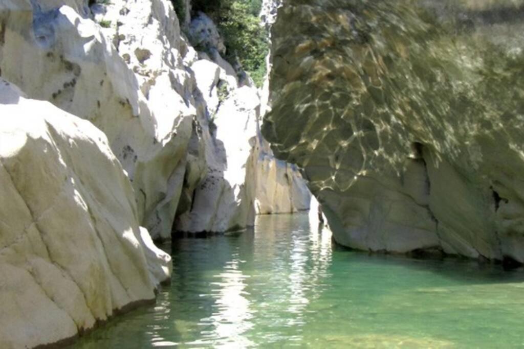 Pont De Valenti Mountain Retreat Apartman Girona Kültér fotó